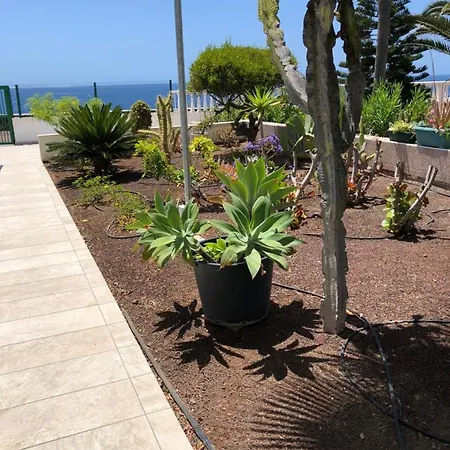 Atlantic Vieuw Apartment *